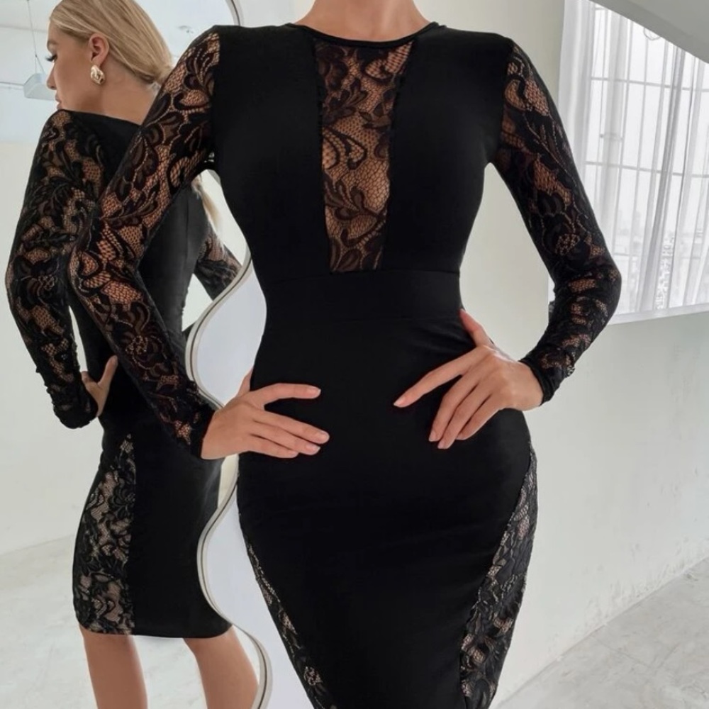- Shein/ Lace Insert Bodycon Dress